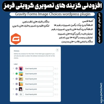افزونه Gravity Forms Image Choices